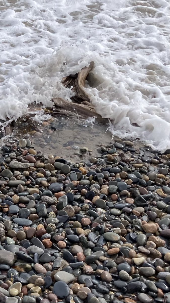 canadacana's tweet photo. Hirtle’s Beach in Blue Rocks Nova Scotia is an exquisite #LivingBeach that was white sand crescent but mostly all spectacular cobbles when we visited last week one year after Hurricane Lee deposited them there from the seafloor bed. Total feast for the senses. Wear sturdy boots! https://t.co/szYaiyrJHH