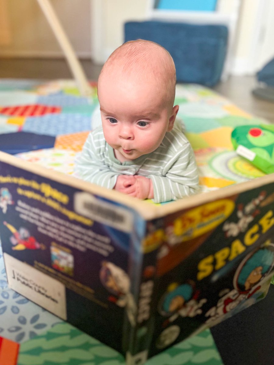 Kelly Bush tweet media