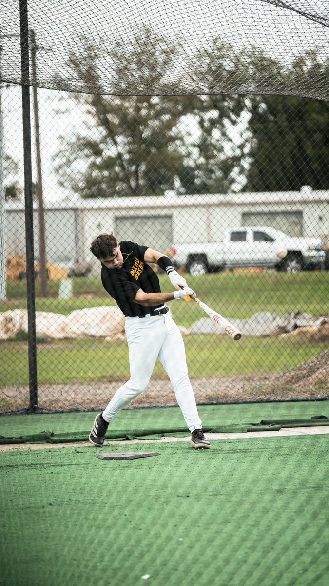 𝐆𝐨𝐥𝐝𝐞𝐧 𝐋𝐢𝐨𝐧𝐬 𝐁𝐚𝐬𝐞𝐛𝐚𝐥𝐥 ⚾️ tweet media