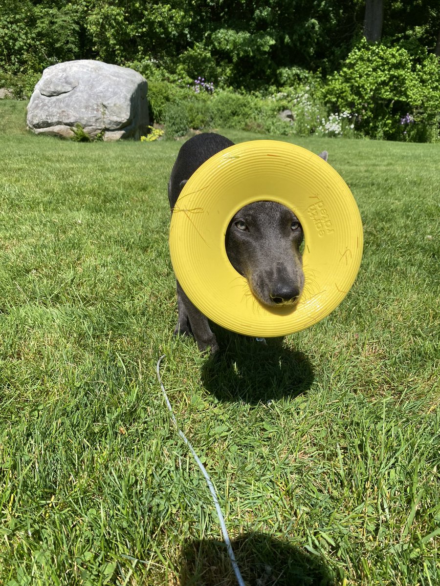 Mark Mravic tweet media