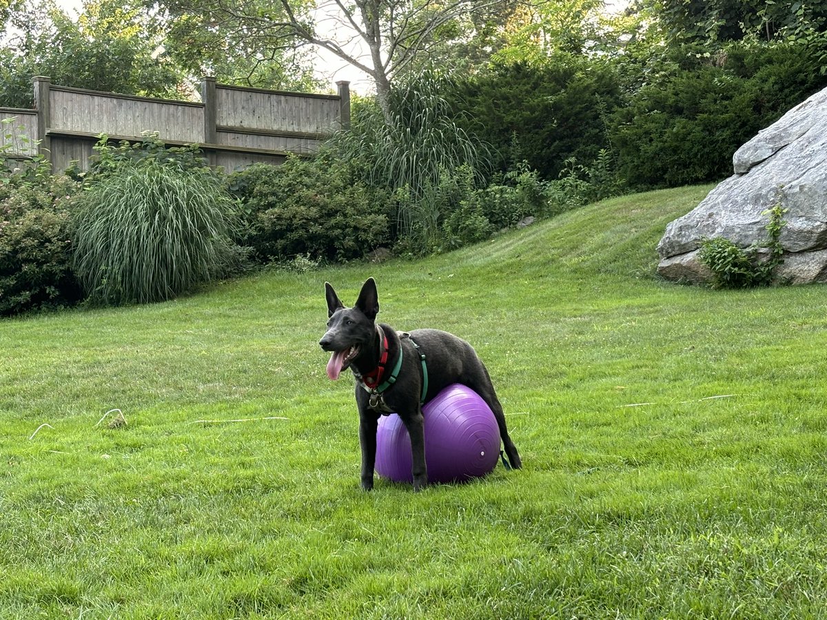 Mark Mravic tweet media