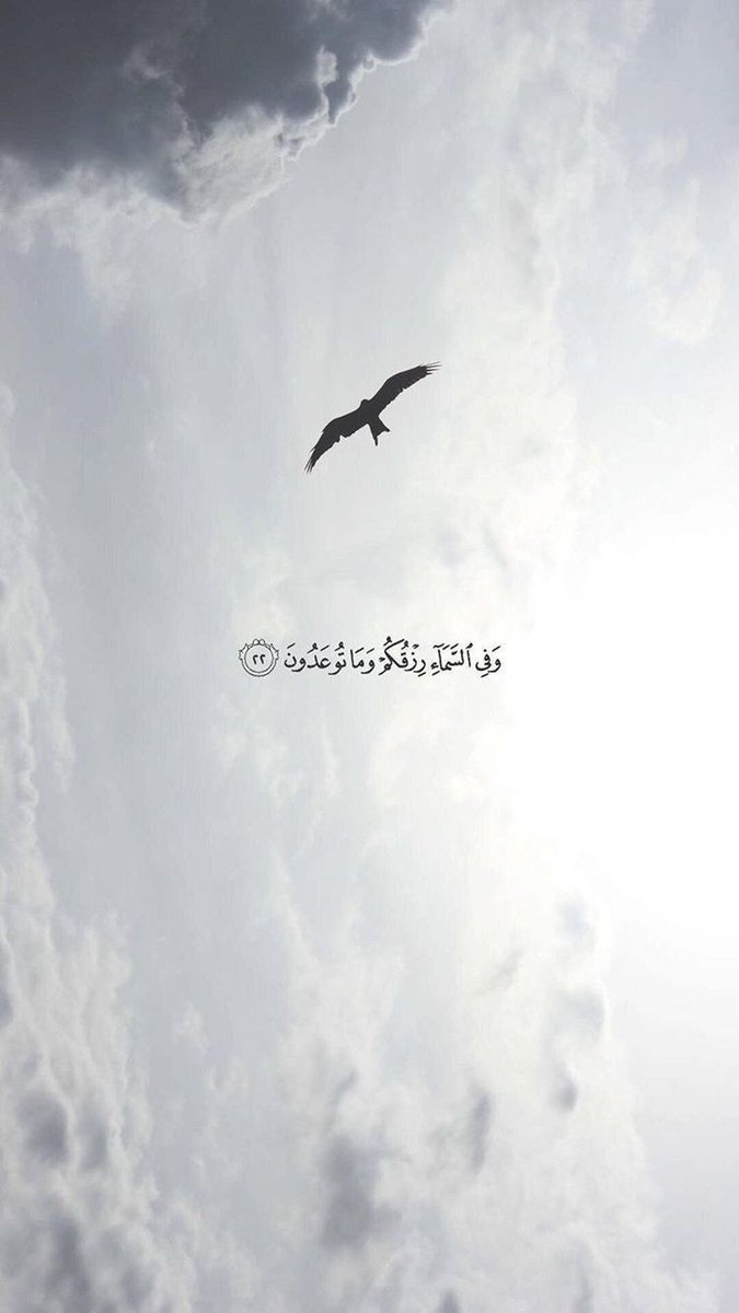 وَفِي السَّمَاء رِزْقُكُمْ وَمَا تُوعَدُونَ🤍.