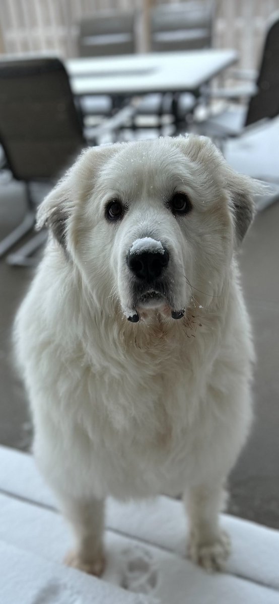 Greg Geary tweet media