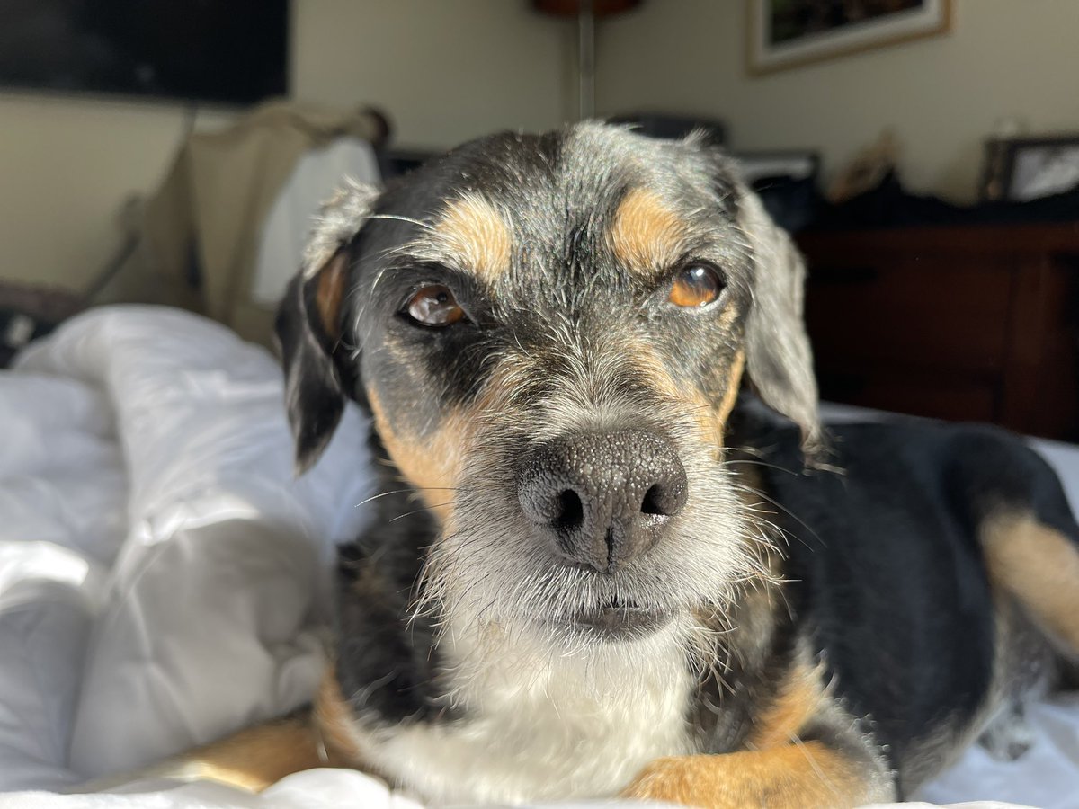 Andy Hendrickson tweet media