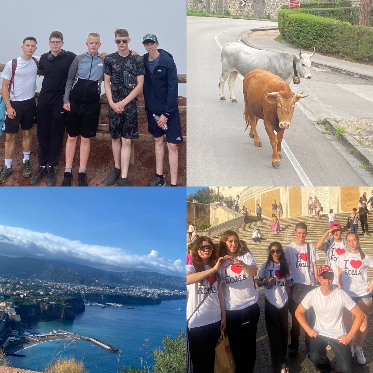 Transition Year Sandymount Park ETSS tweet media