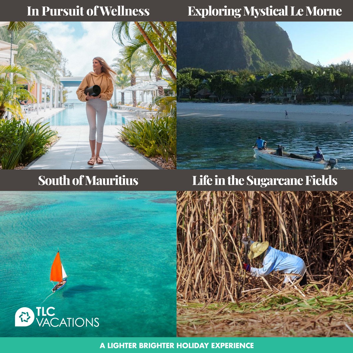tlc_vacations's tweet photo. 🌍 Travel is more than just seeing—it's about immersing yourself!

At SALT of Palmar, experience Mauritius through curated adventures for nature lovers, foodies, culture enthusiasts, wellness seekers &amp; families. 🏞️🍽️🧘‍♀️

#TLCVacations #SALTResorts #iwant2gothere🌿 https://t.co/KNMu0g5RlV