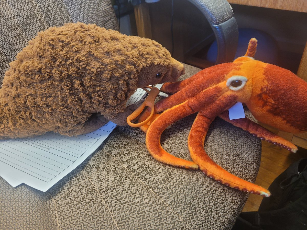 KatherineLansky's tweet photo. My students have decided to end each day by posing Topanga the pangolin doing things around the classroom. Today, Topanga chose violence... https://t.co/VAM5F0hSeO