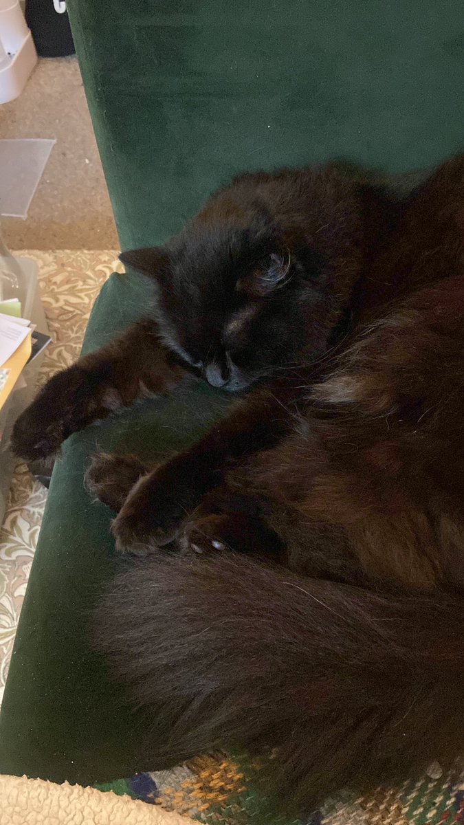 Exhausted after a long taxing afternoon avoiding <a href="/moses_brian/">Brian Moses</a> and Mrs Moses.