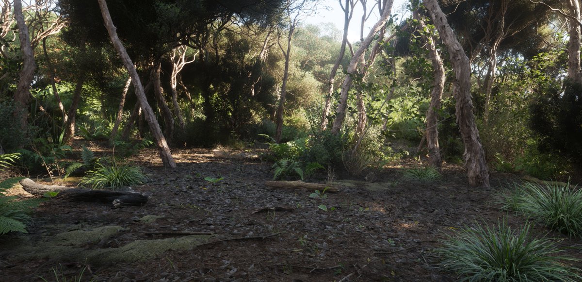 Peter Monga tweet media