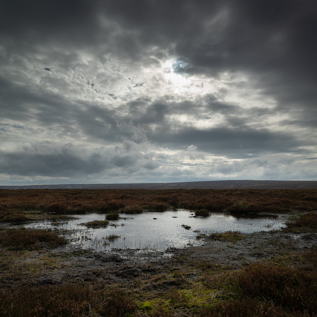 basculeteller's tweet photo. Langsett 2 #photography #landscape #Yorkshire #Penistone #Pennines #PeakDistrict  #7km  #Flâneur #psychogeography #DarkFairytale #RuralMarginalia #SonyFE1635PZf4 https://t.co/IclqwBjYce
