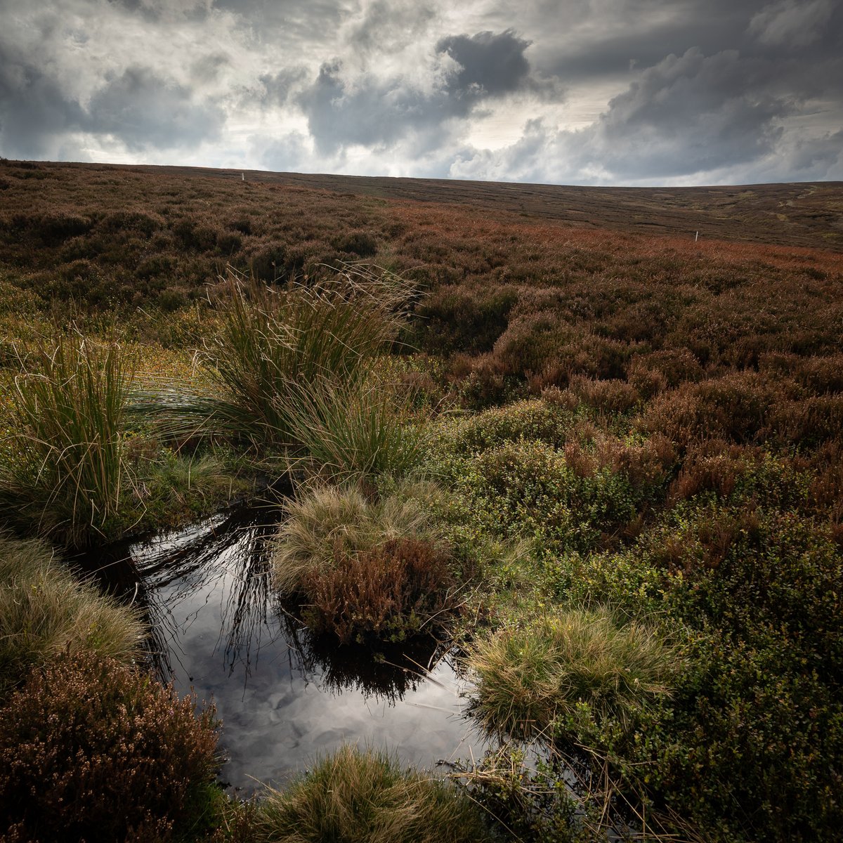 Langsett 2 #photography #landscape #Yorkshire #Penistone #Pennines #PeakDistrict  #7km  #Flâneur #psychogeography #DarkFairytale #RuralMarginalia #SonyFE1635PZf4