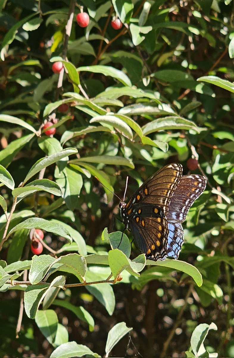 Sarshe330's tweet image. Beautiful moments are happening all around you. You need only to look for them.