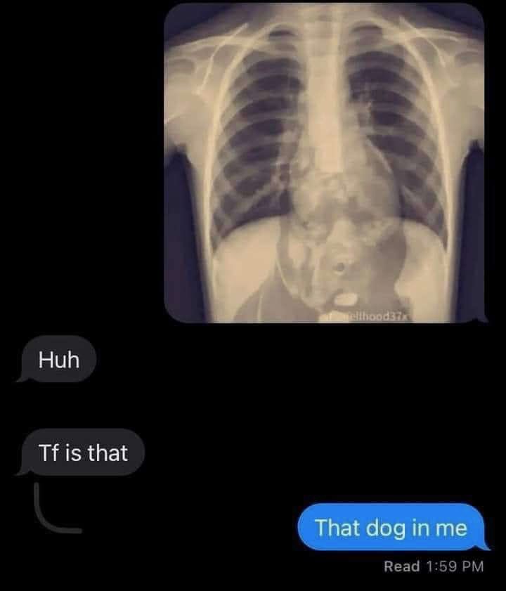 that dog in me