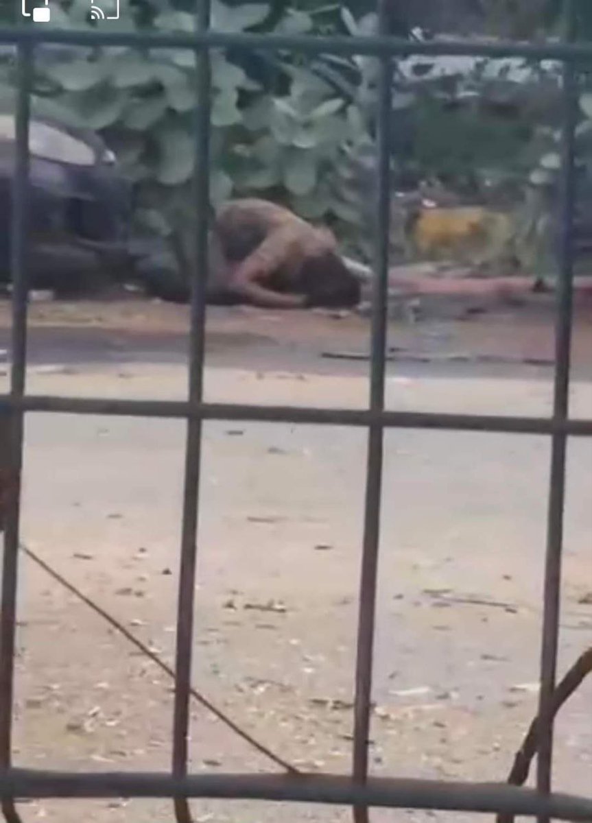 #صورة_اليوم
واحد من شهداء القوات المسلحة استشهد اليوم  وهو ساجد بمنطقة #المقرن
تقبله الله بواسع رحمته 
وان يغفر ويرحم كل شهداء بلادي 
ويشفي كل الجرحي والمصابين