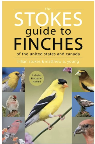 The Winter Finch Forecast is out! So is Stokes Guide to Finches! Purple Finches and Evening Grosbeaks r coming 2 U, get the book &amp; learn all about the finches. amazon.com/Stokes-Finches…
#birds #BirdTwitter #finches