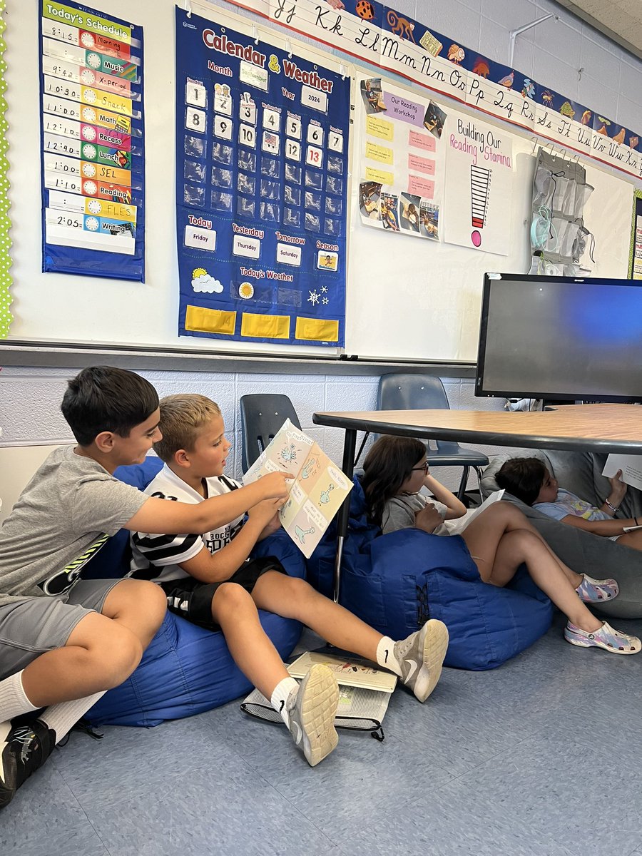 MsRedaelli tweet media