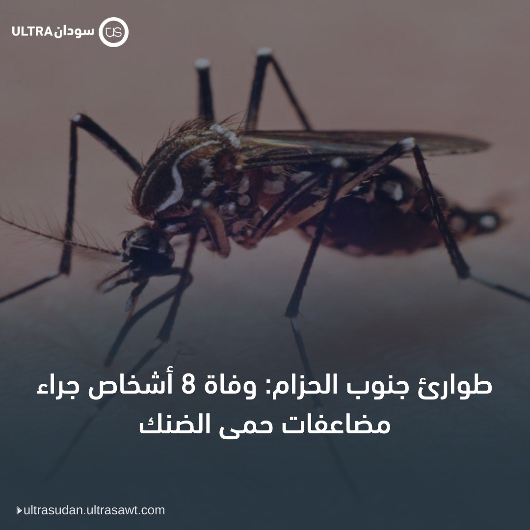 أفادت أن انتشار الحمى جاء مصحوبًا بشح الأدوية في الصيدليات وارتفاع أسعارها..