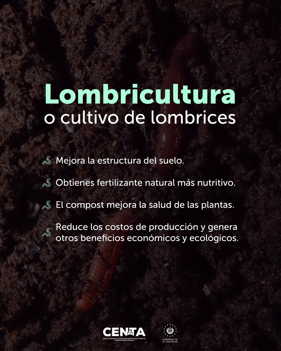 🌱En el corazón de cada suelo fértil hay un secreto que transforma la manera en que cultivamos:  🪱 La Lombricultura. Esta práctica no solo recicla nuestros desechos, sino que también nos guía hacia una agricultura más sostenible y armoniosa con el medio ambiente.
📞 Llámanos al