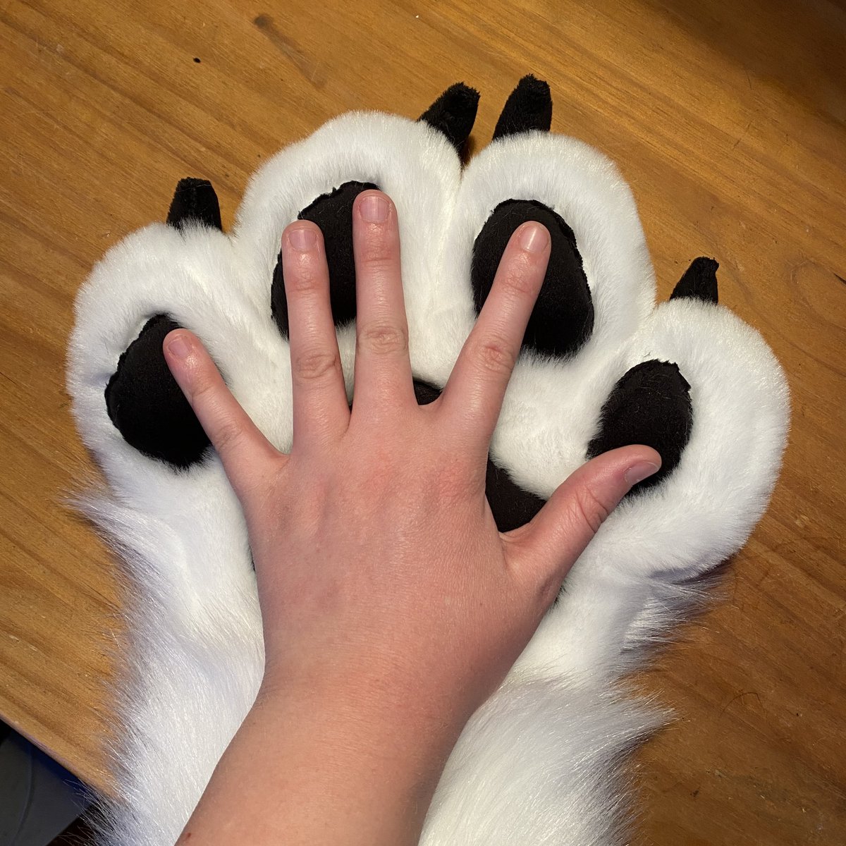 Hax_Creative's tweet photo. Paws finished in 2022 pattern by Kloofsuits https://t.co/cJXm1VnID2