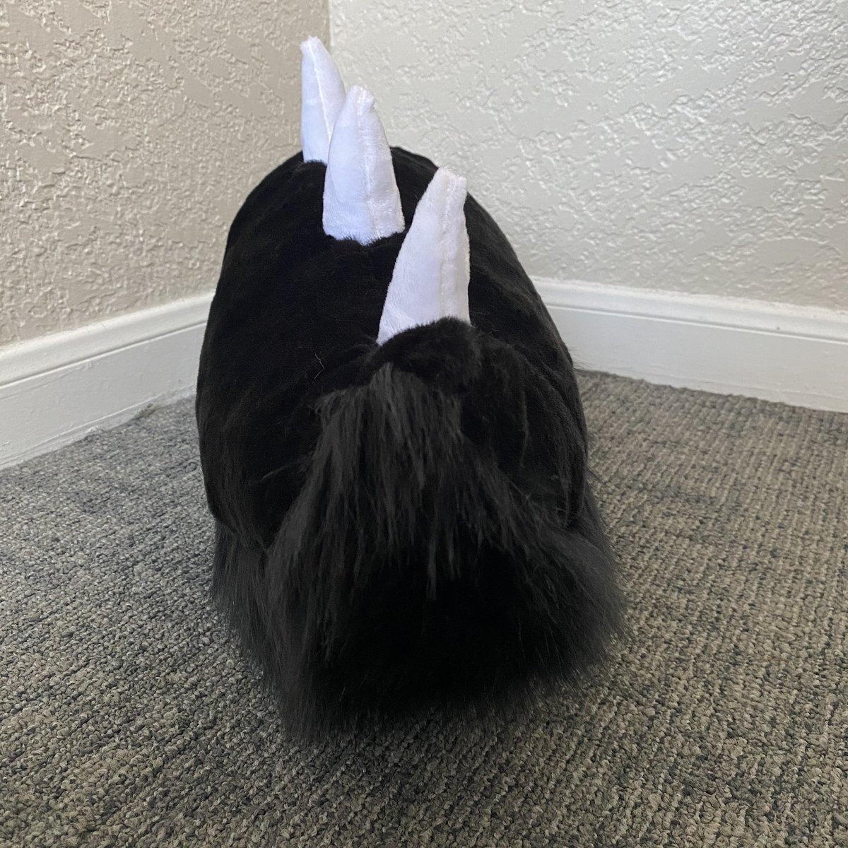 Hax_Creative's tweet photo. Tail finished in 2022 https://t.co/DEGkJYuGCG