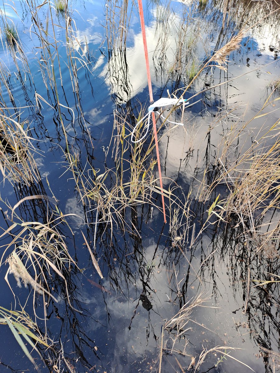 Tänään oli #JTF-rahoitteisen #Visio-hankkeen kick off -tapaaminen. Yhdessä <a href="/UniOulu/">University of Oulu</a>, <a href="/IlmaTiede/">Ilmatieteen laitos</a>, <a href="/SYKEinfo/">Suomen ympäristökeskus</a> ja <a href="/LukeFinland/">Luonnonvarakeskus</a> tutkimme mm. Oulussa Turvesuo-Miehonsuo ennallistettavaa turpeennostoaluetta. Kävimme maastossa suunnittelemassa koeasetelmia. <a href="/ppliitto/">Pohjois-Pohjanmaan liitto</a> <a href="/MarttilaH/">Hannu Marttila</a>