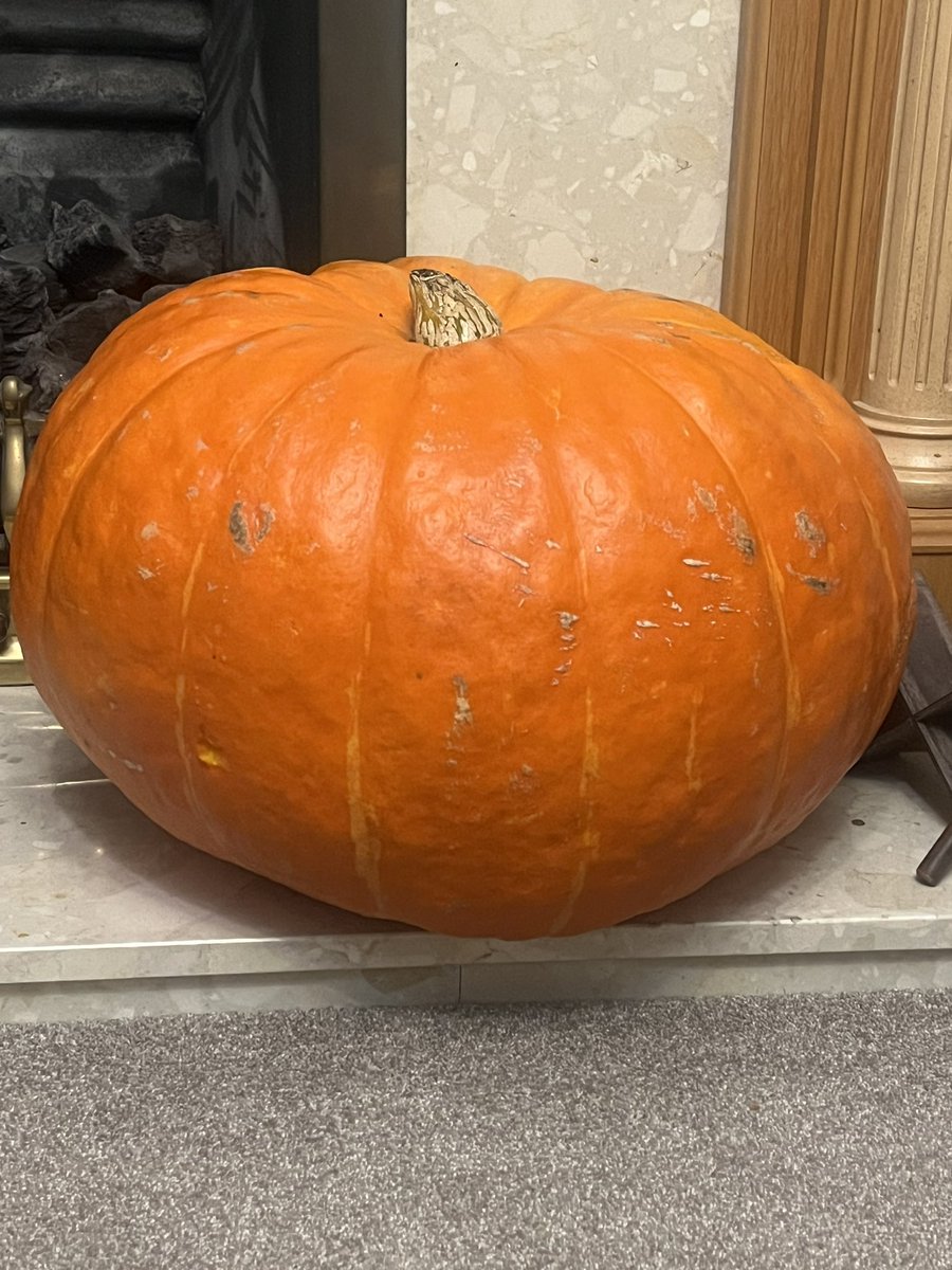 Just a small pumpkin for the hearth, I said.