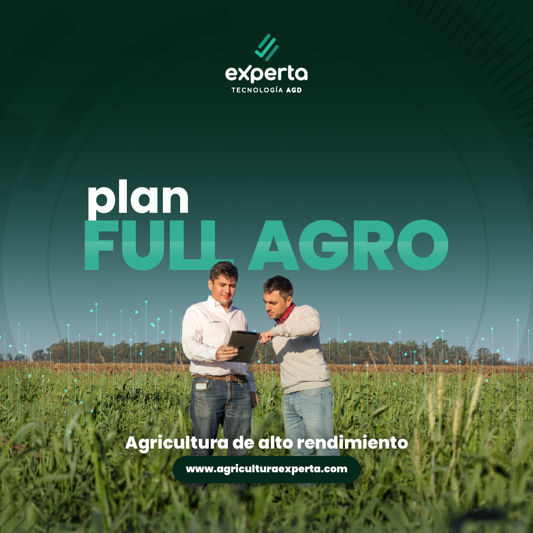 AGD Experta tweet media