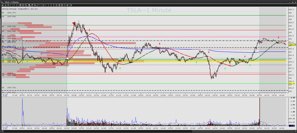 Thor Young 🇺🇸 tweet media