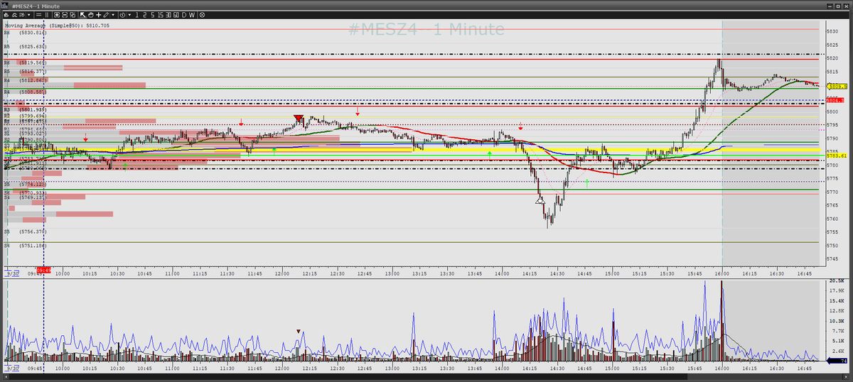 Thor Young 🇺🇸 tweet media