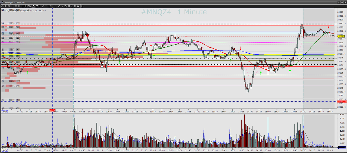 Thor Young 🇺🇸 tweet media