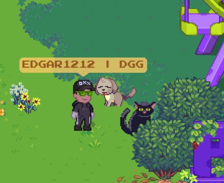 FPayllu's tweet photo. @pixels_online found the cats!!!!! https://t.co/kurGHZuIMO