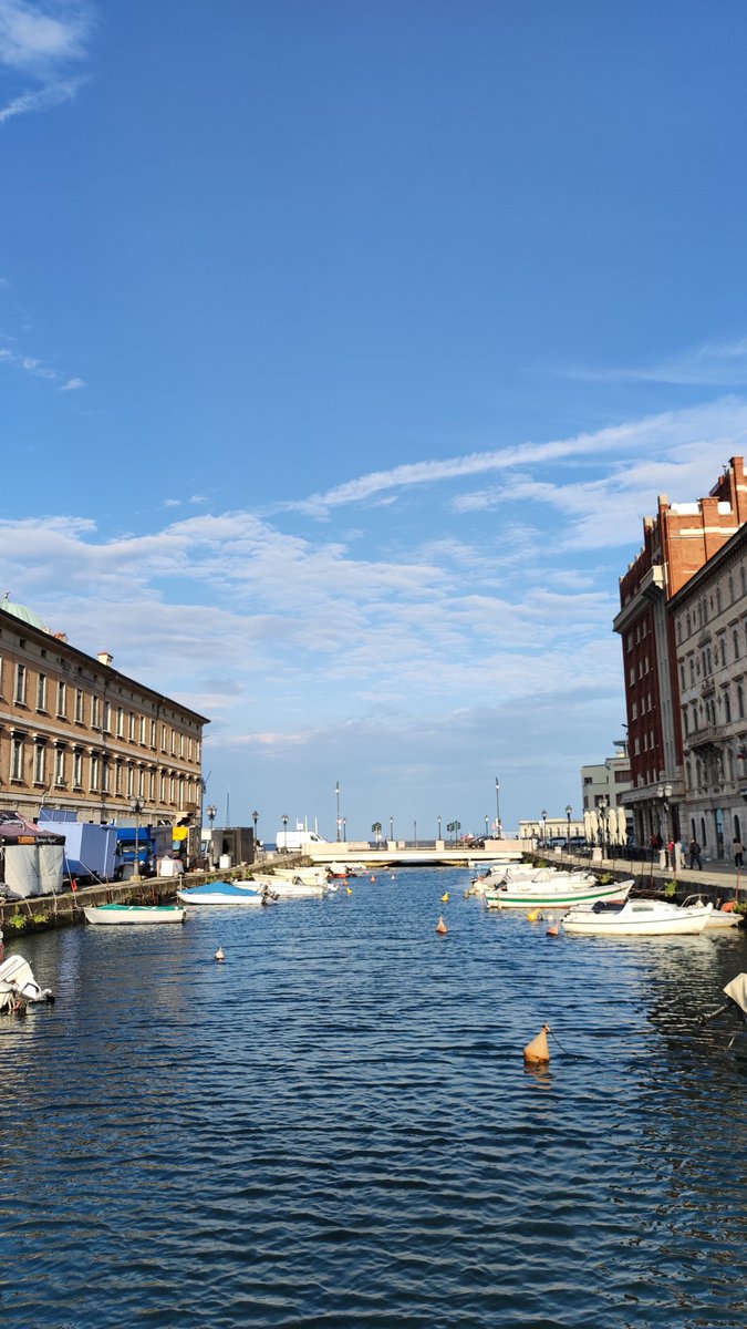 Two weeks before my PhD defense, I had the amazing opportunity to present at the EVita workshop in Trieste! Mind-blowing research &amp; inspiring conversations. So grateful to the <a href="/EVItaSociety/">EVIta- Italian Society for Extracellular Vesicles</a>, my mentor Stefania Vetrano, &amp; the <a href="/ImmUniverse_EU/">ImmUniverse</a> project. #PhDlife #EVresearch #LIPUS