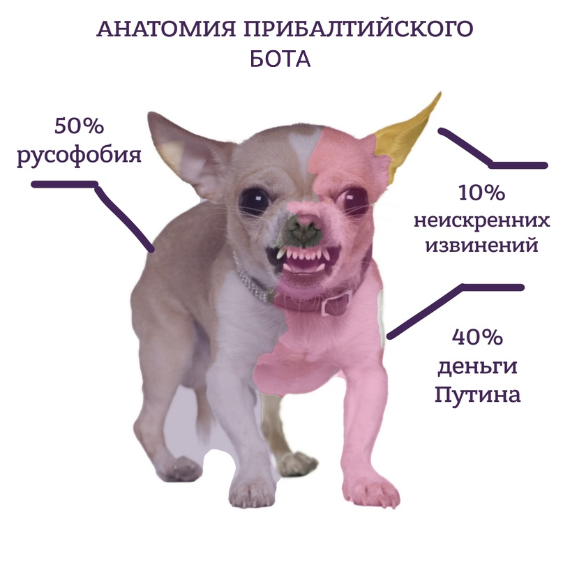 MKV_III's tweet photo. @MKronis @oldLentach спасибо! https://t.co/V3GHi3hcUv