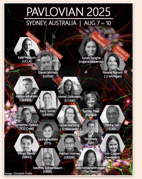 Dr. Melissa Sharpe (@melissajsharpe) on Twitter photo Over the moon to accept the presidency for <a href="/PavlovSociety/">Pavlovian Society</a>! I owe a lot to this community and can’t wait to host #Pavlovian2025 in SYDNEY 🇦🇺. We already have 50% of our speakers confirmed with another 50% to be selected from abstracts as well as an ECR data blitz and posters!! Over the moon to accept the presidency for <a href="/PavlovSociety/">Pavlovian Society</a>! I owe a lot to this community and can’t wait to host #Pavlovian2025 in SYDNEY 🇦🇺. We already have 50% of our speakers confirmed with another 50% to be selected from abstracts as well as an ECR data blitz and posters!!