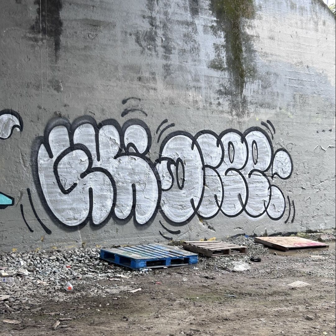 BombingScience's tweet photo. We got a new feature on our blog with OCEE @wsupwitbruhā
Be sure to visit our site to see the rest of it! https://t.co/NdEmlXQ2Mo
ā
#ocee #graffitibomber #throwup #graffiti #graffitiwriter #oceegraffiti #graffitithrowup #throwie #graff #letters https://t.co/lX1cK34Y3j