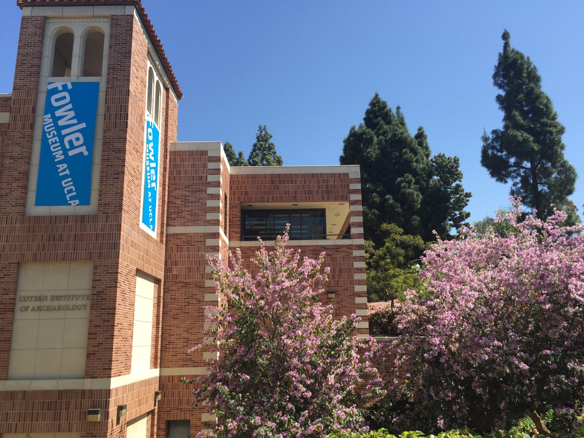 UCLA Alumni (@ucla_alumni) on Twitter photo #OnThisDay in 1992, the <a href="/FowlerMuseum/">Fowler Museum @ UCLA</a> of Cultural History opened its doors near the base of Tongva Steps.The museum actually got its start on the ground floor of Haines Hall. Find out more: ow.ly/VFzw50SpsQ3. #OnThisDay in 1992, the <a href="/FowlerMuseum/">Fowler Museum @ UCLA</a> of Cultural History opened its doors near the base of Tongva Steps.The museum actually got its start on the ground floor of Haines Hall. Find out more: ow.ly/VFzw50SpsQ3.
