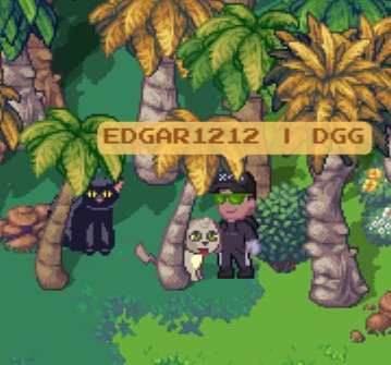 FPayllu's tweet photo. @pixels_online Found the cats!!!!! https://t.co/TiYEFWsSUv