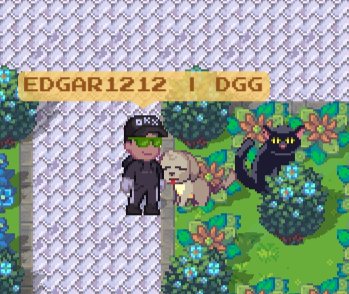 FPayllu's tweet photo. @pixels_online Found the cats!!!!! https://t.co/TiYEFWsSUv