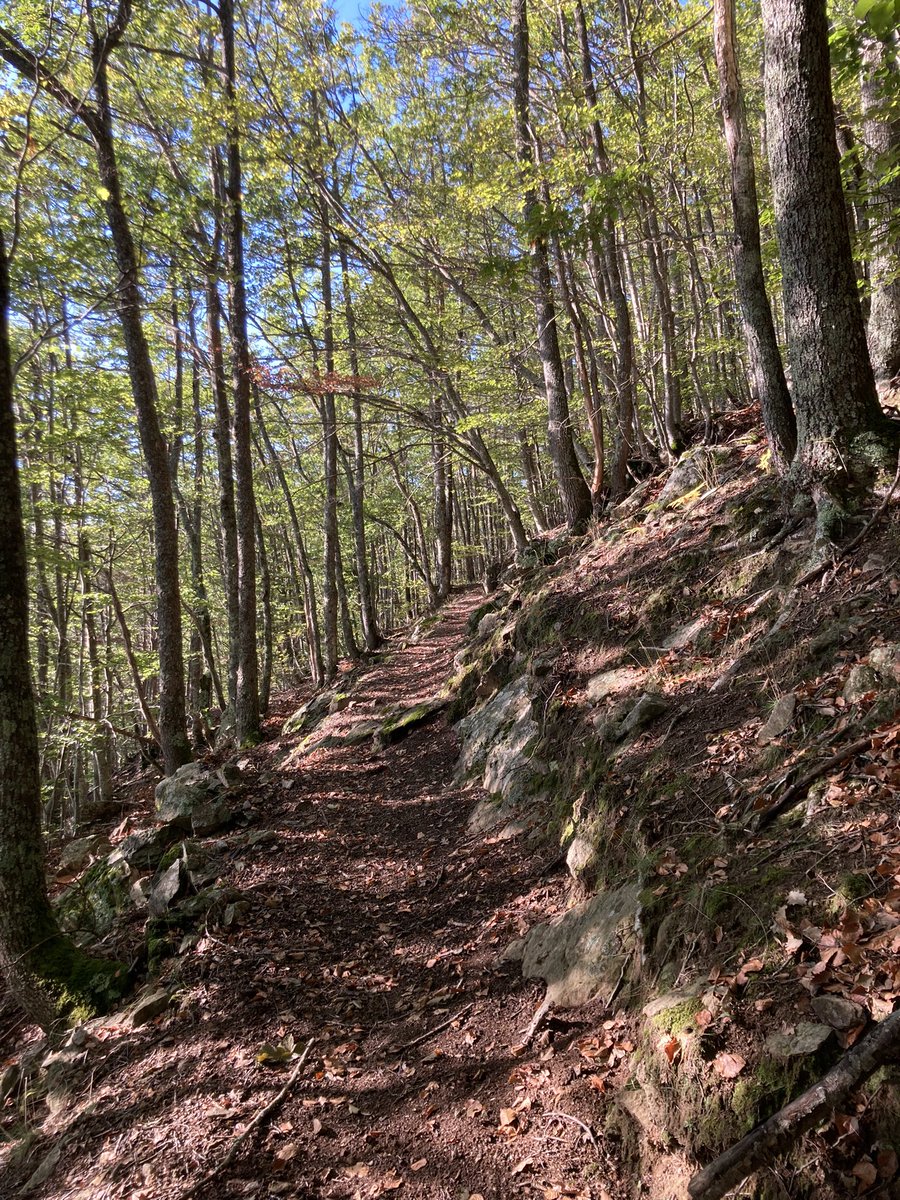 Esta vez ha tocado recorrer Le Massif du Canigó. Bosques, viento, frío y desconexión. Todo un descubrimiento #canigó #dondeempiezaelpirineo#vacaciones #otoño #montañas