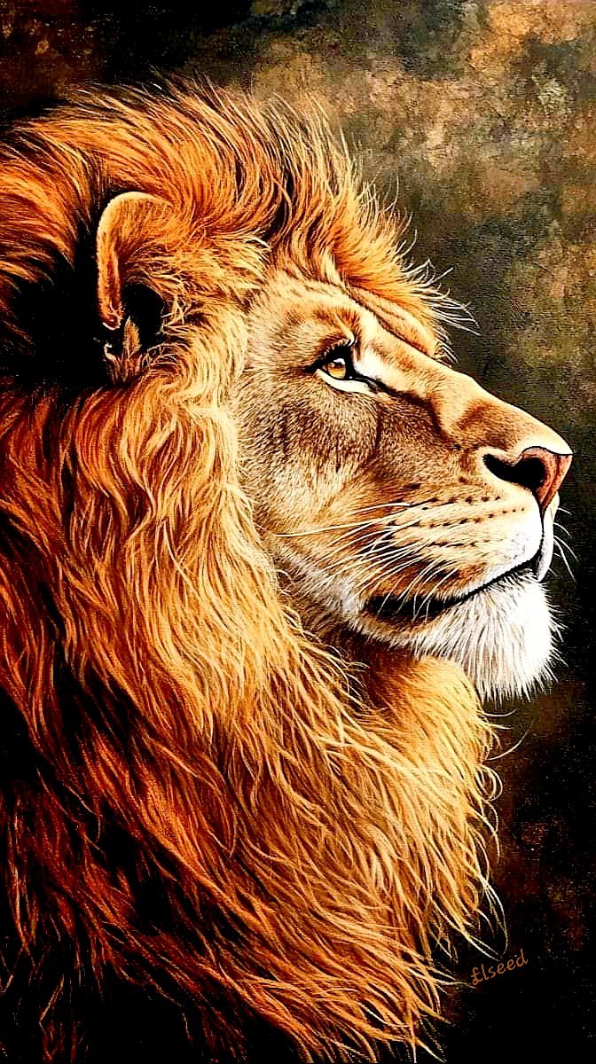 ElseedUg's tweet image. For generations, majestic lions have captivated humans across borders and have symbolic significance in many civilizations. Unfortunately, the number of this exquisite beast has declined dramatically. We really demand quick action. 
Acrylics painting on canvas 
#Elseed #lionking