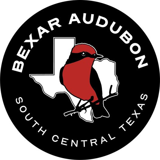 NISD Grants and Recognitions Department (@nisd_grants) on Twitter photo πΏ Bexar Audubon Society Mini-Grant Now Open! π¦
Are you passionate about conservation? Apply for mini-grants ($100-$1,000) to fund projects focused on birds & habitats!
πΌ Gardens
π‘ Birdhouses/feeders
π Apply by Oct 19, 2024
Email: grants@nisd.net for more information. πΏ Bexar Audubon Society Mini-Grant Now Open! π¦
Are you passionate about conservation? Apply for mini-grants ($100-$1,000) to fund projects focused on birds & habitats!
πΌ Gardens
π‘ Birdhouses/feeders
π Apply by Oct 19, 2024
Email: grants@nisd.net for more information.