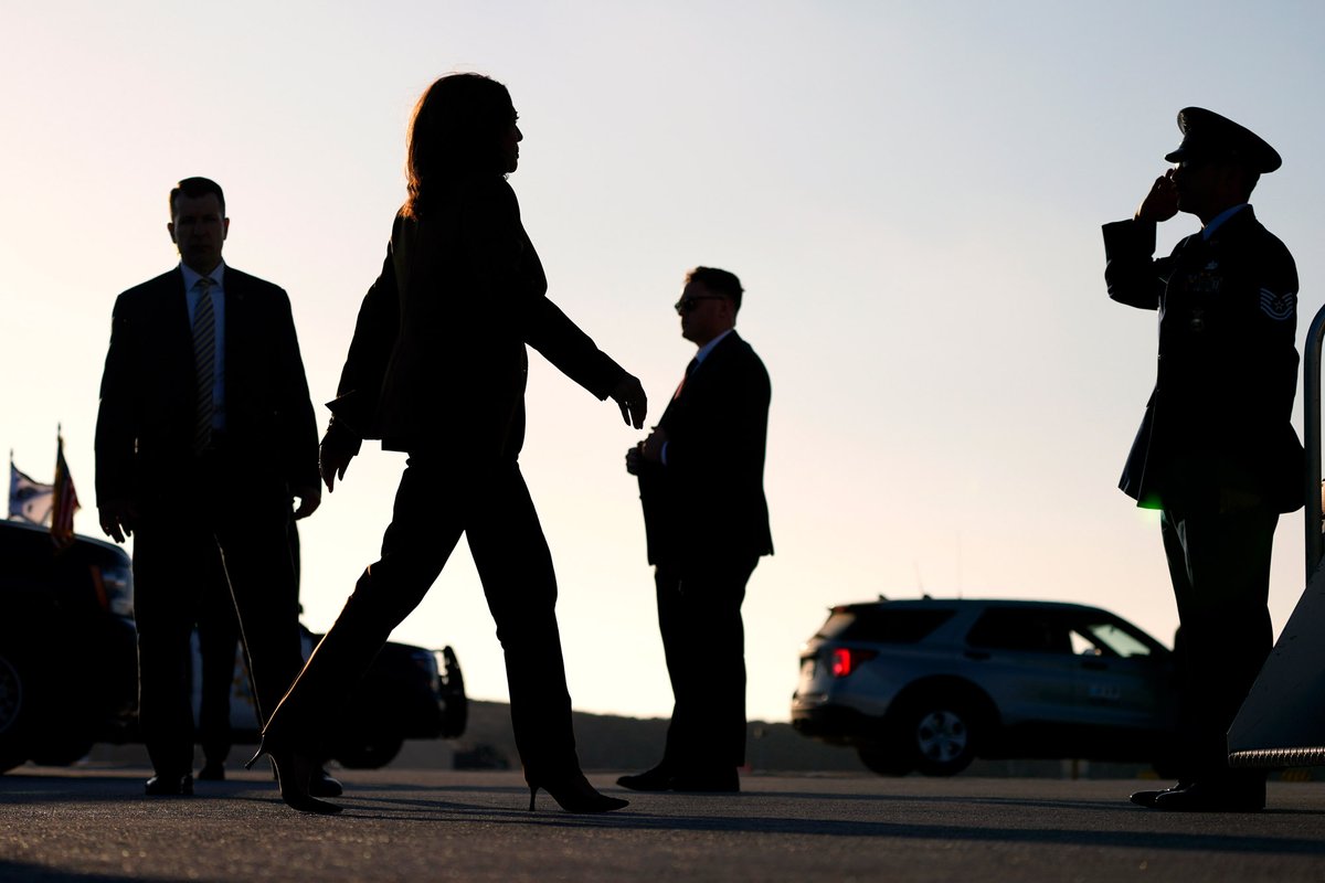 Mark J. Terrill tweet media