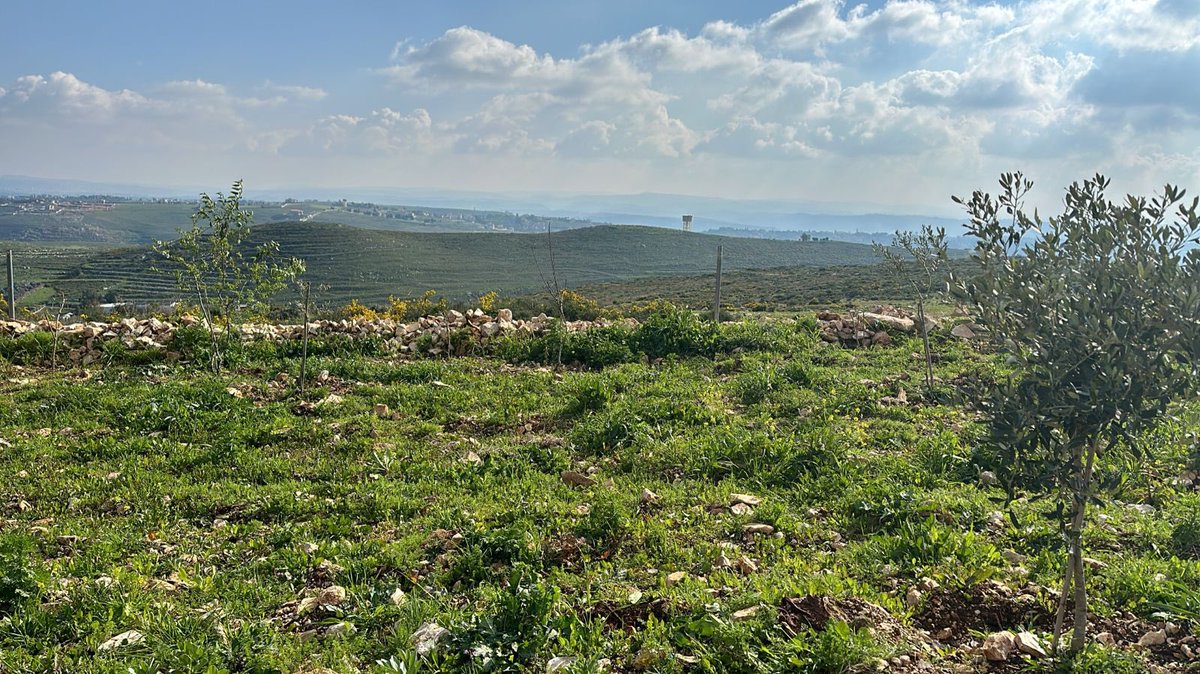 Alihashem's tweet photo. Israel is on the verge of launching its invasion of my country. No matter how limited the Israeli government claims its occupation will be, every grain of sand in South Lebanon, every inch of land, represents our entire nation. It symbolizes our resilience, our dignity, and the land of our youth and memories. For me personally, it's where my father was laid to rest just last week.