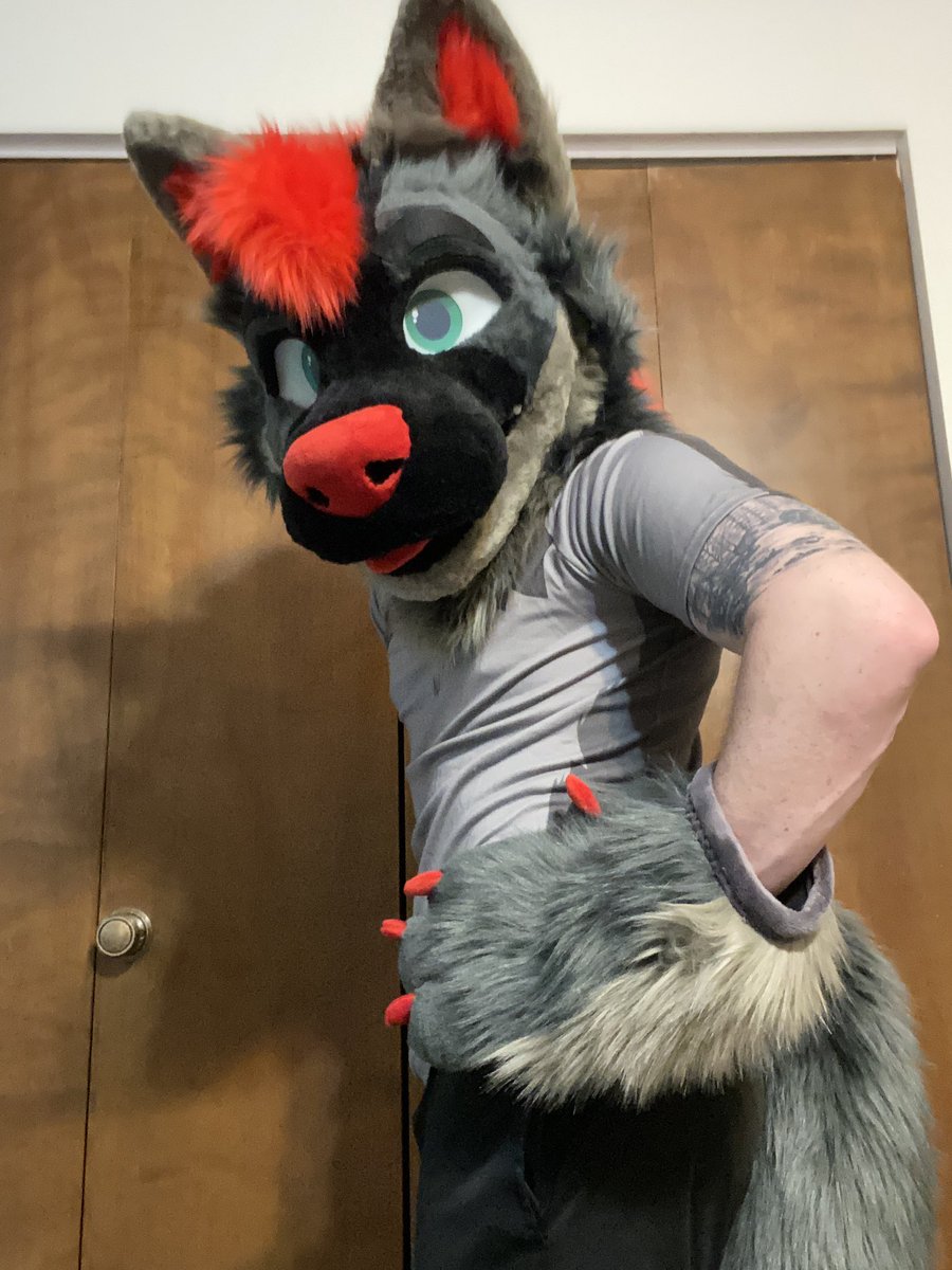 Card 🐺✨🔜 FWA26 tweet media