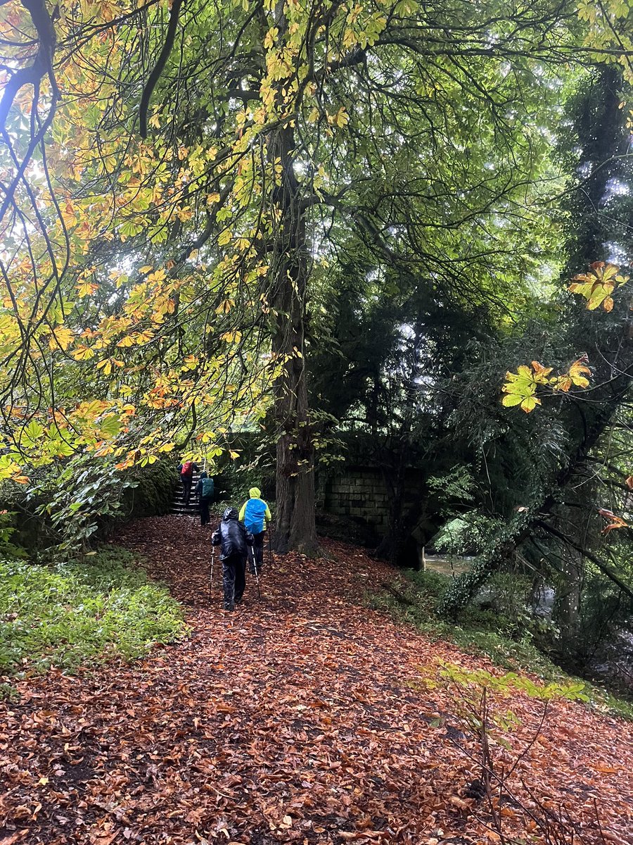 TeamWalking's tweet photo. Day 9 of our Coast to Coast. 

CB Inn, Arkengarthdale to Richmond. 

Our second wet day of our trip so far… 

14 miles over the moors, hills and dales to Marske. It’s actually a fantastic route via Fremington Edge, Hurst, Helwith, Telfit Bank and the deep valley of Marske Beck. https://t.co/bYSIdBBVVf