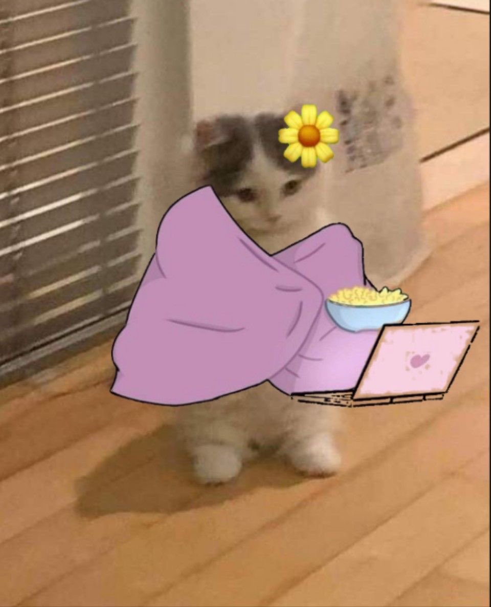 XimeEM72's tweet photo. Listísima para ver el #Estreno  hoy de #Moises10mandamientos por el mejor canal de todo México @UnifeMx 
A las 9 pm https://t.co/xIZBBpcmuT