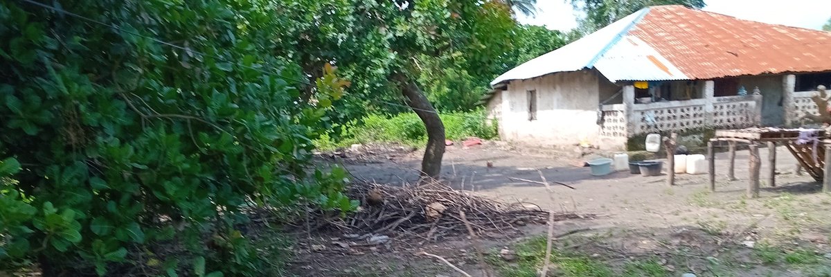 chammodou47's tweet image. Am for the Gambia one love ❤️