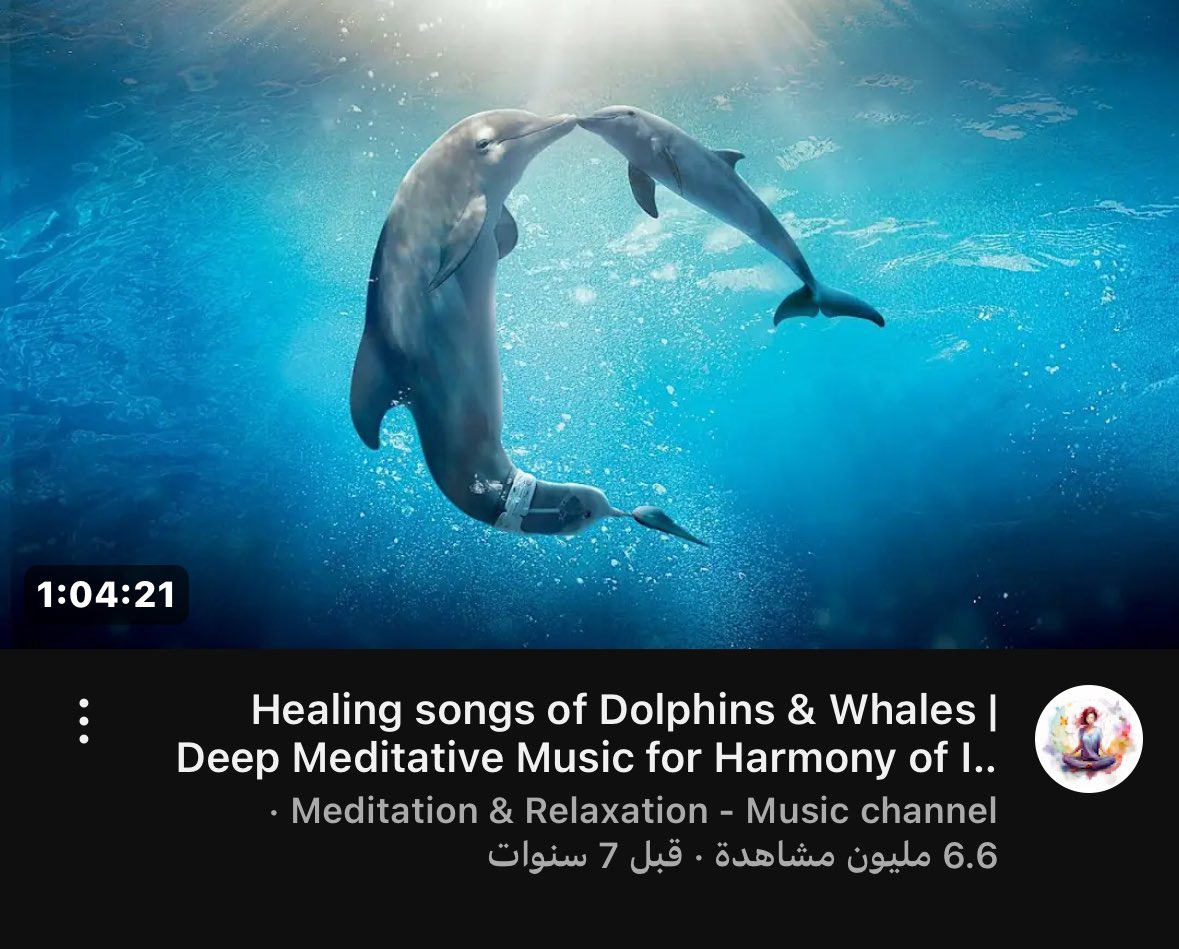 صاير أنام على أصواتهم