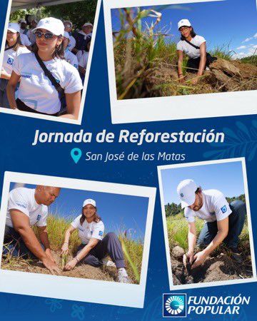 FundPopular's tweet photo. Sembramos más de 4,300 árboles en Bohío Viejo, Los Montones junto a 200 empleados del Voluntariado Popular. https://t.co/TSACusVwOf