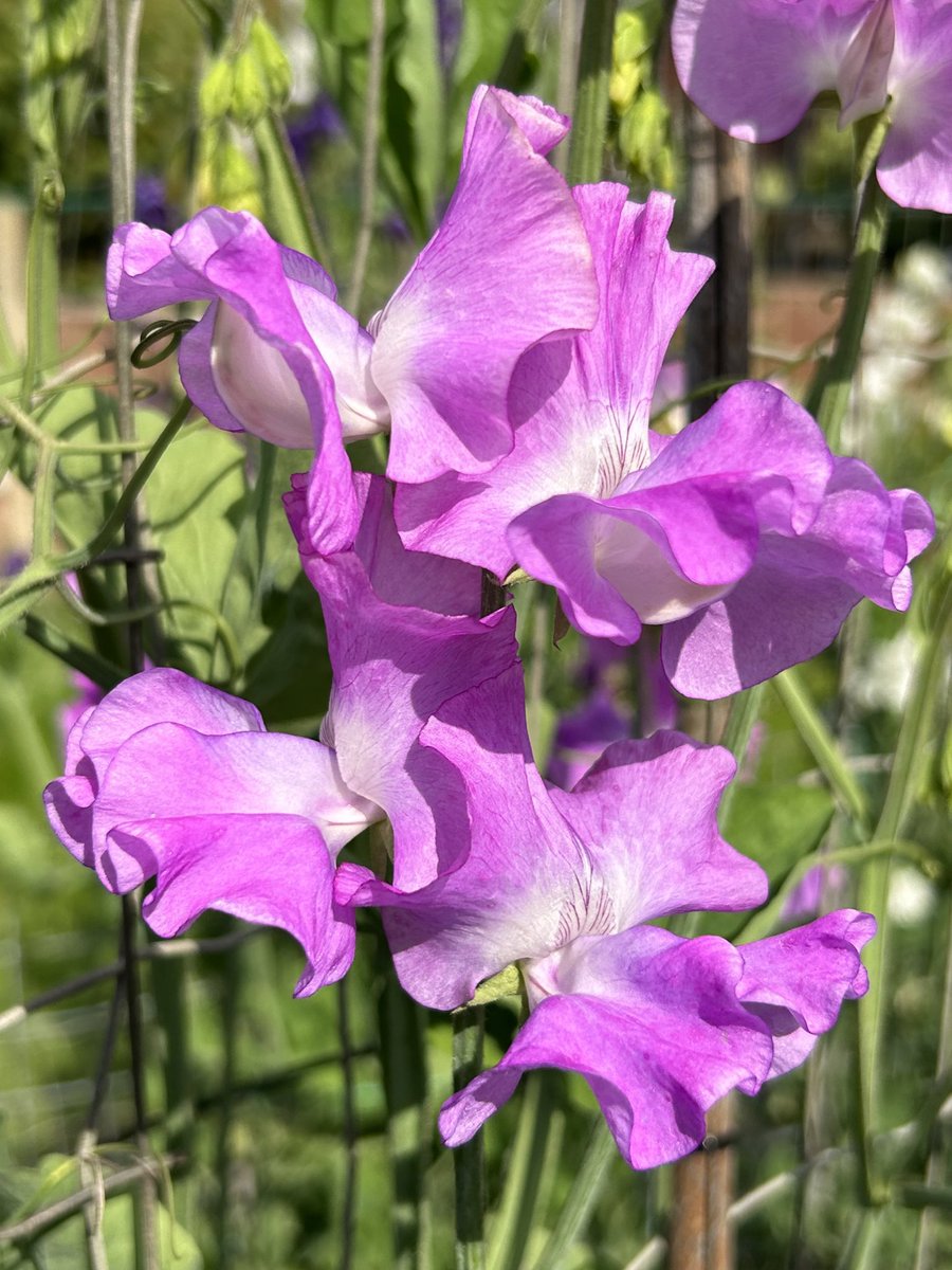 Darren Myers tweet media